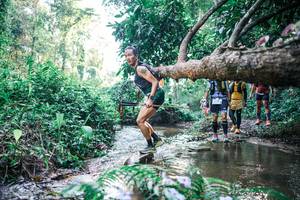 BIB: 
                            <button type="button" onclick="openModal(25435909)" class="btn btn-primary btn-sm float-right btn-popup" data-toggle="modal" data-target=".modal-high-quality">
                        <i class="fas fa-shopping-cart"></i> Add to Cart
                    </button>
                                            <button type="button" onclick="isThisMe(25435909, true)" class="btn btn-success btn-sm float-right btn-popup btn-isme hidden" data-toggle="tooltip" data-placement="bottom" title="นี่คือรูปของคุณใช่ไหม คลิกที่นี่เพื่อเอาเข้าอัลบั้ม">
                        <i class="fas fa-plus"></i> Add to album
                    </button>
                    <button type="button" onclick="isThisMe(25435909, false)" class="btn btn-warning btn-sm float-right btn-popup btn-isnotme hidden">
                        <i class="fas fa-ban"></i> Remove from album
                    </button>